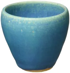 2026年最新】信楽 皿の人気アイテム - メルカリ