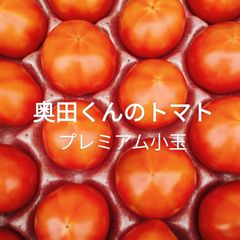淡路島の奥田くんが育てた甘い甘いトマト たまねぎタマネギ玉葱送料無料フルーツ
