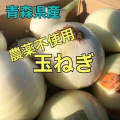 専用 晩生玉ねぎ＆旬野菜セット　農薬不使用 専用 晩生玉ねぎ＆旬野菜セット 農薬不使用 100size - メルカリ