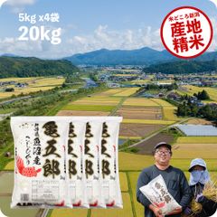米 亀五郎さんのコシヒカリ20kg  令和5年産 白米