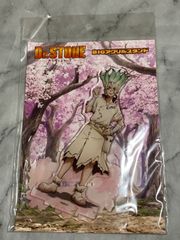 Dr.STONE 石神千空　BIGアクリルスタンド　桜　花見