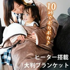 新品/Lifon】電気かけしき毛布夢あんないダブルサイズ190×180cm 新品/Lifon】電気かけしき毛布夢あんないダブルサイズ190×180cm