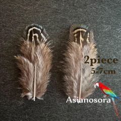 ◾️⭐︎【SS1】2枚セット 羽根 フェザー 鳥 パーツ 材料 アクセサリー 素材