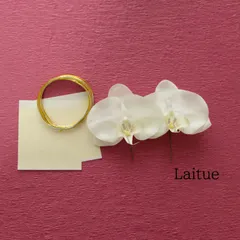 胡蝶蘭2輪と水引・金箔の髪飾り ◇ ◇ 成人式　◇ 結婚式　◇ ウェディング　◇ 振袖　◇白無垢　◇ 袴　◇ 卒業式