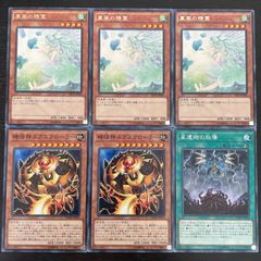 333 遊戯王 機怪神エクスクローラー 2枚 裏風の精霊 3枚 星遺物の胎導