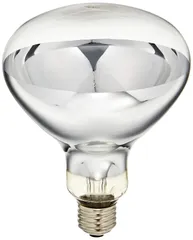エルパ (ELPA) 屋外用レフランプ 電球 照明 110V 200形 2300lm 26mm ビーム角:45° ERF110V180W