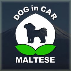 マルチーズのドッグインカーかわいい桃ちゃんの白色ステッカー‼︎