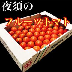 高知県産　夜須のフルーツトマト　12玉から20玉前後　コンパクトボックス送料無料