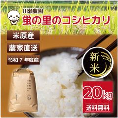 新米令和7年度淡路島産 玄米コシヒカリ20kg 〈送料無料〉 ※数量限定 