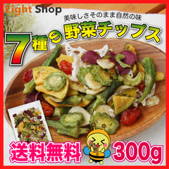 野菜チップス 300g かぼちゃ オクラ トマト 紫芋 レンコン ゴーヤ バナナ