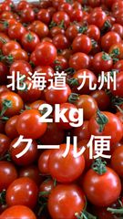 北海道、九州の方限定2kgクール便