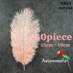 ◾️⭐︎【ORs1シェルピンク】10本15-19cm オーストリッチ フェザー 羽根