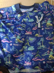 横浜DeNAベイスターズ田中健二朗 2022年ホームユニフォーム Lサイズ 横浜DeNAベイスターズ レプリカユニフォーム ホーム 田中健二朗