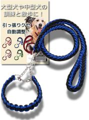 Item thumbnail for item e12449b5-1a2b-40f5-bb70-26e6d2e6ba78