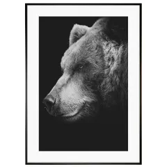 動物写真  熊 インテリアアートポスター写真額装 AS1339