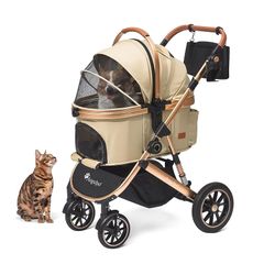 Item thumbnail for item 683e4e0f-fee5-466f-85e6-b69595fc66cf