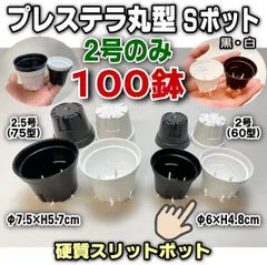 ミニプラ鉢専門店＊プレステラ丸型2号スリット(小)＊Sポット60型(硬質スリットポット/スリット鉢)-黒・白・混色⇒100鉢セット＊多肉植物・塊根植物コーデックス・アガベ・サボテン・盆栽・観葉・ハオルチア・アデニウム・パキポディウム・実生＠フラワーショップ江口のサムネイル