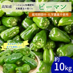 ピーマン 約10kg 約280個 天敵農法 かめのこ農園 栽培期間中 化学肥料不使用 高知産 国産 安心 安全 産地直送 野菜 ヤマト発送
