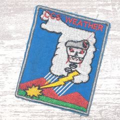 DS07 ベトナム 戦争 ワッペン スカル ドクロ 骸骨 ベレー CCS WEATHER 米軍 サバゲー ミリタリー 軍物 古着 青