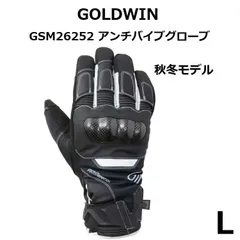 2024年最新】goldwin ゴールドウイン グローブ lの人気アイテム - メルカリ