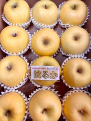 秋田県産りんご　はるか　3.5キロ12玉