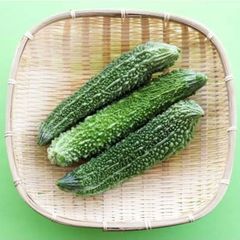 高知県産ゴーヤ3㎏(12～14本入) ご家庭用　☆9