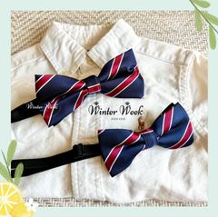 Item thumbnail for item 1c97e275-c17b-47a8-a8f9-26619087604e