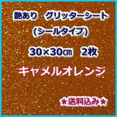 2023年最新】オレンジ グリッターシートの人気アイテム - メルカリ