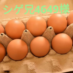 シゲ兄4649様専用 平飼い卵30個