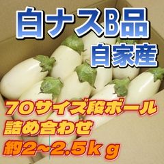 A-STYLE自家産白ナストルコナスとろーり旨なすA品B品MIX70サイズ ショップアカウントではゆうゆうメルカリ便で送れないため沖縄への発送は出来かねます、個人アカウントよりご購入頂けましたら発送可能ですので出品致しましたらそちらよりよろしくお願いいたします