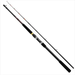 BRAIDING X 振出磯竿　新品未使用品 BRAIDING X 振出磯竿 新品未使用品 楽天市場】daiwa braiding x