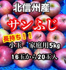 長野県産　りんご　サンふじ　小玉　家庭用5kg入　約16玉〜20玉のサムネイル
