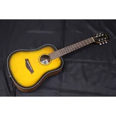 エレアコ！Aria/FEA-10WA /改造！ソフトケース付！ジャンク！！ エレアコ！Aria/FEA-10WA /改造！ソフトケース付！ジャンク