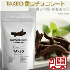 【昆虫チョコ】スーパーワームチョコレート 10g