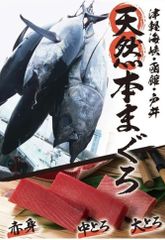 天然本マグロ食べ比べセット　刺身用【津軽海峡　函館　戸井産　本鮪　赤身・大トロ・中トロ 各150ｇセット　計450ｇ以上】本まぐろ食べ比べ【送料込】