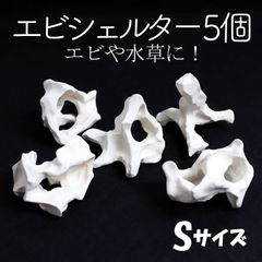 【エビシェルター5個 オフホワイト Sサイズ】エビ　シュリンプ　シェルター　アクアリウム　水槽　水草　モス　コケ　オブジェ　白　陶器　安い　熱帯魚　コラドリス　隠れ家　流木　岩　石　レイアウト　ビーシュリンプ　繁殖