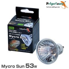 Item thumbnail for item 77a44caf-f2f8-4804-8131-1eaa13546e3f