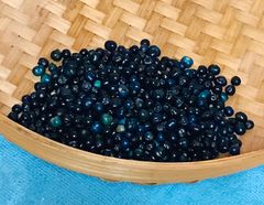 早い者勝ち！【染料素材】草木染め 臭木の実400gまとめ売り