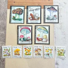 3795 外国切手 ブルガリア 希少植物 花シリーズ 小型シート 3795 外国切手 ブルガリア 希少植物 花シリーズ 小型シート 3795 外国