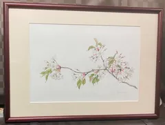2024年最新】日本植物画倶楽部の人気アイテム - メルカリ