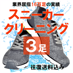 臭いもスッキリ スニーカー 靴 クリーニング 洗い 3点パック 通販