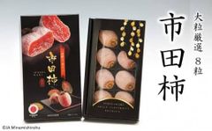干柿 市田柿 化粧箱 大粒厳選8粒（最高サイズ 3L） 長野県 南信州 大粒 特大 厳選 3Lサイズ 高糖度 高品質 ドライフルーツ　北海道沖縄の方は300円の追加料金が必要です。