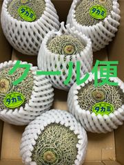 タカミメロン  LAサイズ 6個入 箱込4.6キロ程度 茨城県産
