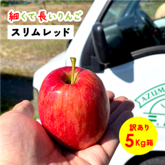 細くて長いりんご！「スリムレッド5キロ箱訳あり品」 農林水産大臣賞 りんご 長野県産 安曇野 信州産 産地直送 送料無料 5キロ 箱使用 果物 フルーツ 鮮度抜群 産地直送