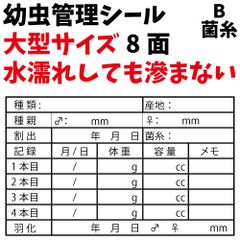 大きいサイズ 幼虫管理ラベルB「菌糸」8面10シート80枚 オオクワガタ飼育用品 クワガタ