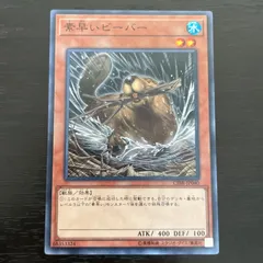 即日発送！大会用　スプライト　デッキ　遊戯王　素早いビーバー　S:Pリトルナイト 即日発送！大会用 スプライト デッキ 遊戯王 素早いビーバー S:P