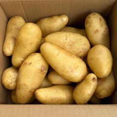純国産　じゃがいも　箱込約3㎏以上　メークイン　ジャガイモ　野菜ソムリエ　備蓄！！