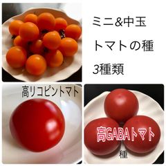 トマトの種　3種類