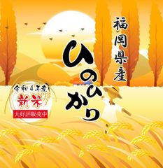 令和4年 新米10kg ヒノヒカリ 白米 送料無料 人気 売れ筋 2022年産