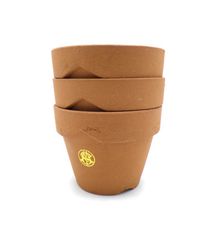 パーフェクトリブス Perfect ribs 【 Short Sleeve T Shirts  